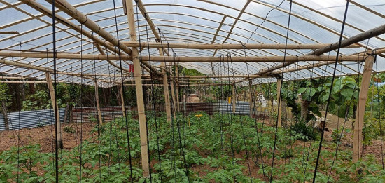 तरकारी खेतीबाट आत्मनिर्भर बन्दै ‘टनेल’ गाउँका किसान